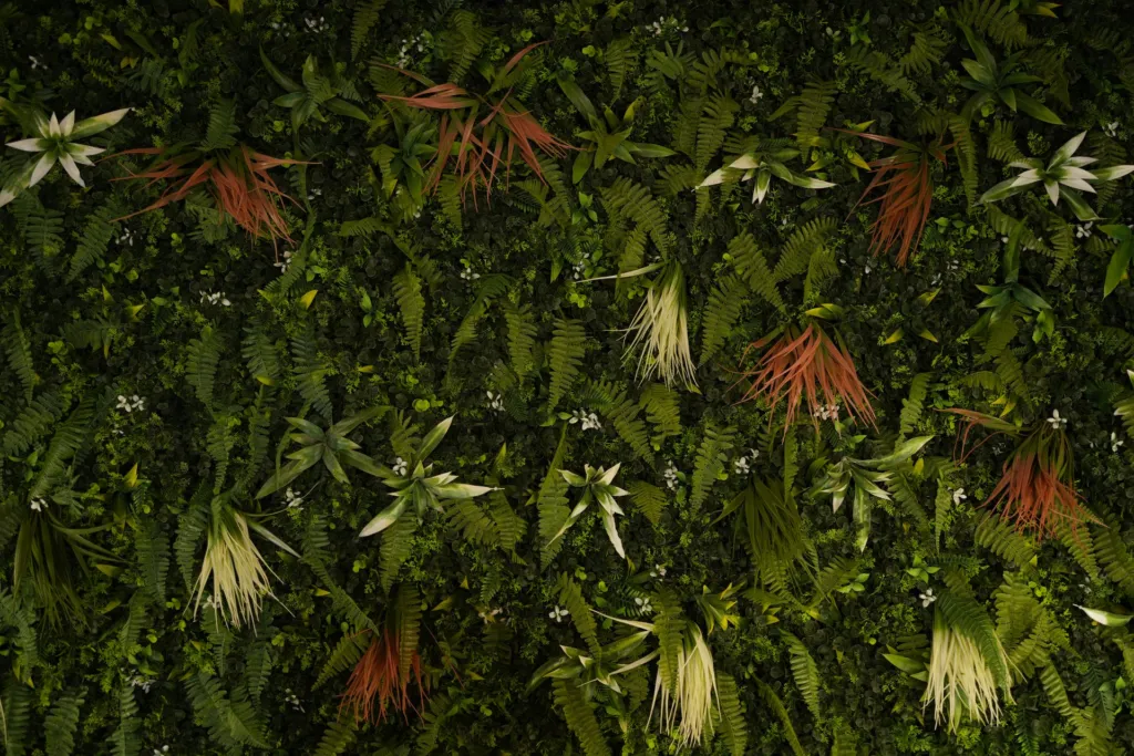 Le mur végétal du Studio Le 21 à Villeneuve-d'Ascq