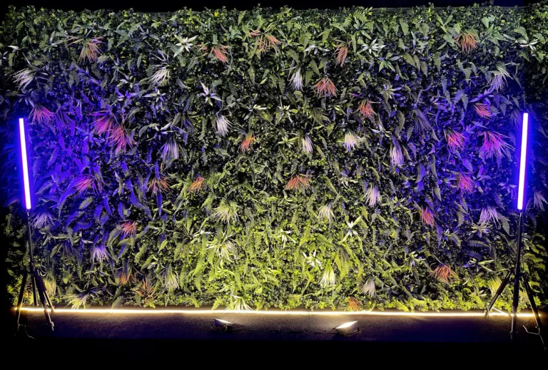 Décor mur végétal du studio vidéo Le 21 à Villeneuve-d'Ascq